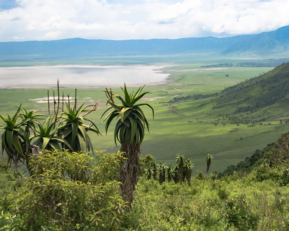 Ngorongoro 2