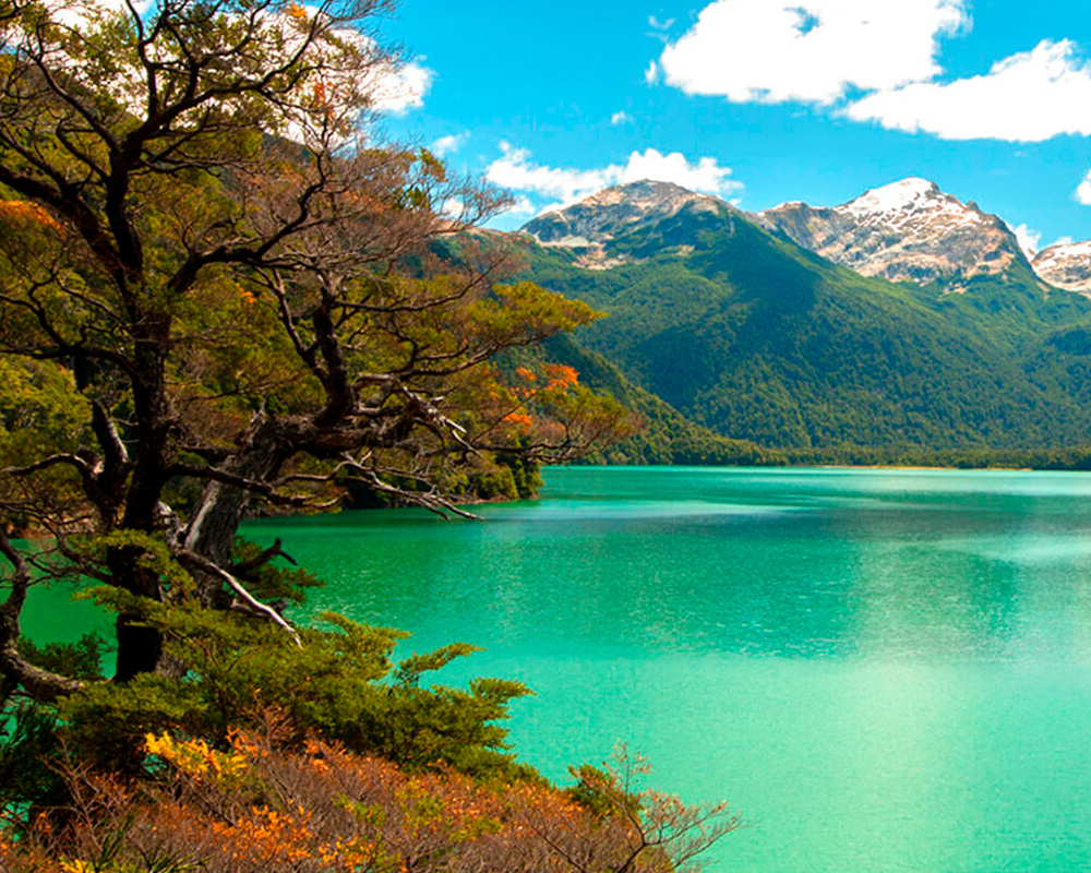esquel