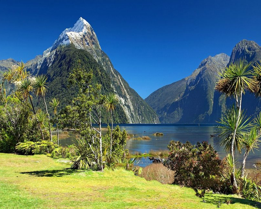 Nueva Zelanda dos